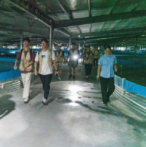 青耘沃土绿，智绘乡兴图