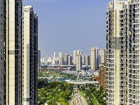 在东西湖，“上天入地”