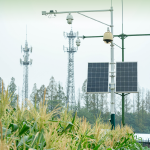 东西湖这个基地，可以“呼风唤雨”