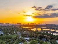 这么好看，不愧是东西湖的秋天！