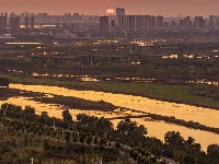 这么好看，不愧是东西湖的秋天！