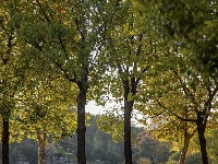 来了来了，这个公园的秋天终于又来了！