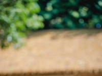 超美！东西湖这家湖景咖啡馆，你去过吗？