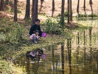 东西湖最小湖泊，原来是它！