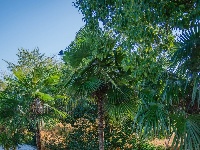 超美！东西湖这家湖景咖啡馆，你去过吗？