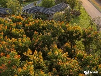 这么好看，不愧是东西湖的秋天！