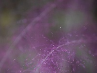 秋雨一来，东西湖这个花园“颜值”又上分