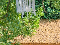 超美！东西湖这家湖景咖啡馆，你去过吗？