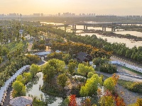 这么好看，不愧是东西湖的秋天！