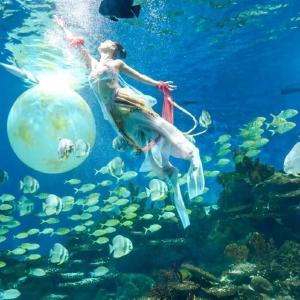 这个假期，东西湖这些地方“爆”了