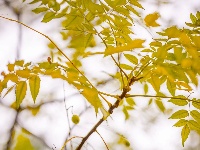 秋雨一来，东西湖这个花园“颜值”又上分
