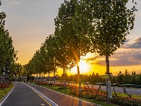 这么好看，不愧是东西湖的秋天！