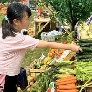 “书菜碰头会”让旧书遇见新知己