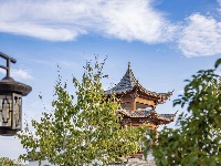 来了来了，这个公园的秋天终于又来了！