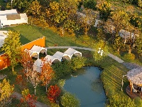 这么好看，不愧是东西湖的秋天！