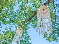 超美！东西湖这家湖景咖啡馆，你去过吗？