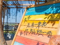 超美！东西湖这家湖景咖啡馆，你去过吗？