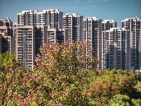 东西湖最小湖泊，原来是它！