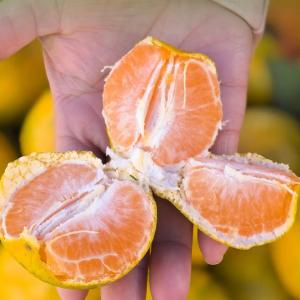 从滞销变“网红” 柏泉有“糖心密码”