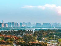 这份诚意邀请，有金有银