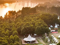 这份诚意邀请，有金有银