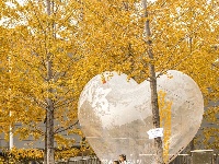 悄悄告诉你，最出片的秋天在东西湖