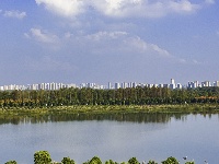 来看！东西湖区地图中心点