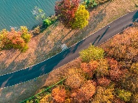 这份诚意邀请，有金有银