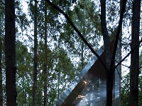 杉林中的建筑为何被世界看见？