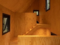 杉林中的建筑为何被世界看见？