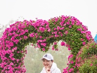 东西湖区的菊展，太好看了吧！