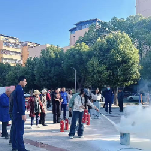 吴家山街道：梦佳社区开展“筑牢安全防线，守护幸福家园”主题活动