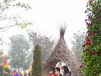 东西湖区的菊展，太好看了吧！