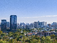 就在昨天，这一奇观在东西湖出现！