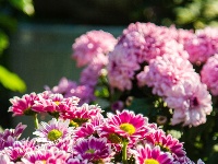 东西湖遛弯儿好地方，藏在这里！