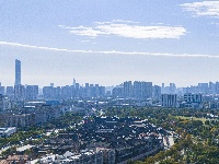 就在昨天，这一奇观在东西湖出现！