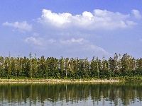 来看！东西湖区地图中心点