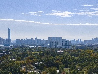 就在昨天，这一奇观在东西湖出现！