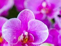 东西湖遛弯儿好地方，藏在这里！