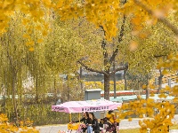 悄悄告诉你，最出片的秋天在东西湖