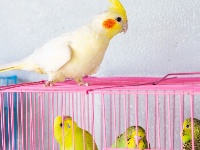 东西湖遛弯儿好地方，藏在这里！