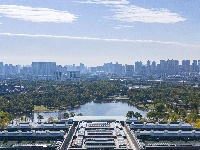 就在昨天，这一奇观在东西湖出现！