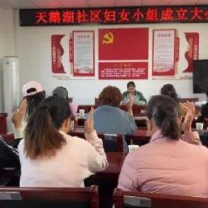 天鹅湖社区妇联推动成立妇女小组