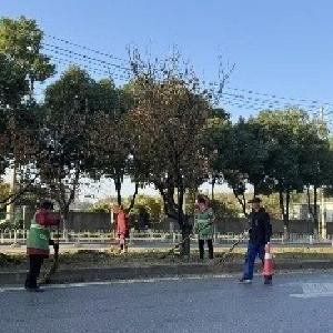 落叶“勤扫”守洁净，“缓扫”留诗意