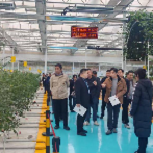 从理论到田间：东西湖区专题培训深研“寿光模式” 赋能农业现代化