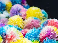 东西湖区的菊展，太好看了吧！