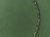 来看！东西湖区地图中心点