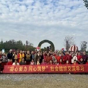 走马岭街道：走集镇社区社会组织共绘社区治理新蓝图