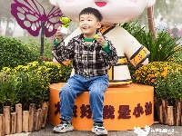 东西湖区的菊展，太好看了吧！