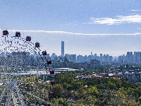 就在昨天，这一奇观在东西湖出现！